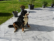 Filename=DSCN0015.JPG
Filesize=1514KiB
Dimensions=2000x1500
Date added=Nov 04, 2017 DSCN0015.JPG