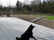 Filename=P1240590.JPG
Filesize=1459KiB
Dimensions=2000x1500
Date added=Nov 04, 2017 P1240590.JPG