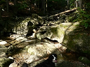 Filename=P1250296.JPG
Filesize=1260KiB
Dimensions=2000x1500
Date added=Nov 04, 2017 P1250296.JPG