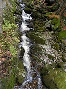Filename=DSCN0384.JPG
Filesize=1637KiB
Dimensions=1500x2000
Date added=Nov 04, 2017 DSCN0384.JPG
