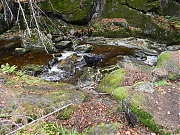 Filename=DSCN0394.JPG
Filesize=1733KiB
Dimensions=2000x1500
Date added=Nov 04, 2017 DSCN0394.JPG
