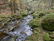 Filename=DSCN0416.JPG
Filesize=1617KiB
Dimensions=2000x1500
Date added=Nov 04, 2017 DSCN0416.JPG