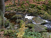 Filename=DSCN0424.JPG
Filesize=1457KiB
Dimensions=2000x1500
Date added=Nov 04, 2017 DSCN0424.JPG