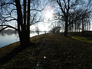 Filename=DSCN0499.JPG
Filesize=1451KiB
Dimensions=2000x1500
Date added=Nov 04, 2017 DSCN0499.JPG