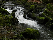 Filename=DSCN0567.JPG
Filesize=1039KiB
Dimensions=2000x1500
Date added=Nov 04, 2017 DSCN0567.JPG
