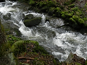 Filename=DSCN0573.JPG
Filesize=1248KiB
Dimensions=2000x1500
Date added=Nov 04, 2017 DSCN0573.JPG