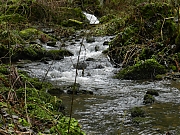 Filename=DSCN0595.JPG
Filesize=1286KiB
Dimensions=2000x1500
Date added=Nov 04, 2017 DSCN0595.JPG