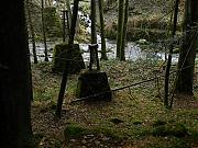 Filename=DSCN0617.JPG
Filesize=1571KiB
Dimensions=2000x1500
Date added=Nov 04, 2017 DSCN0617.JPG