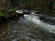 Filename=DSCN0647.JPG
Filesize=1084KiB
Dimensions=2000x1500
Date added=Nov 04, 2017 DSCN0647.JPG