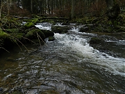 DSCN0647.JPG