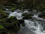 Filename=DSCN0650.JPG
Filesize=1229KiB
Dimensions=2000x1500
Date added=Nov 04, 2017 DSCN0650.JPG