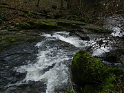 Filename=DSCN0652.JPG
Filesize=1212KiB
Dimensions=2000x1500
Date added=Nov 04, 2017 DSCN0652.JPG