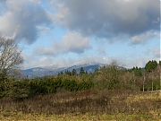 Filename=DSCN0684.JPG
Filesize=841KiB
Dimensions=2000x1500
Date added=Nov 04, 2017 DSCN0684.JPG