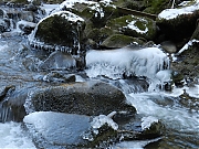 Filename=DSCN1297.JPG
Filesize=1311KiB
Dimensions=2000x1500
Date added=Nov 04, 2017 DSCN1297.JPG