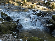 Filename=DSCN1335.JPG
Filesize=1390KiB
Dimensions=2000x1500
Date added=Nov 04, 2017 DSCN1335.JPG