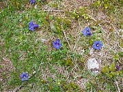 Filename=P1010737.JPG
Filesize=1998KiB
Dimensions=2048x1536
Date added=Nov 05, 2017 P1010737.JPG