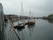 Filename=P1130318.JPG
Filesize=1850KiB
Dimensions=2560x1920
Date added=Nov 05, 2017 P1130318.JPG
