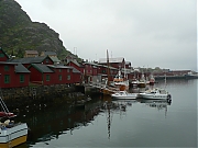 Filename=P1130321.JPG
Filesize=1704KiB
Dimensions=2560x1920
Date added=Nov 05, 2017 P1130321.JPG