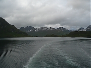 Filename=P1130456.JPG
Filesize=1770KiB
Dimensions=2560x1920
Date added=Nov 05, 2017 P1130456.JPG
