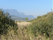 Filename=DSCN0210.JPG
Filesize=1545KiB
Dimensions=2000x1500
Date added=Nov 05, 2017 DSCN0210.JPG