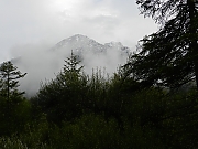 Filename=DSCN0335.JPG
Filesize=911KiB
Dimensions=2000x1500
Date added=Nov 05, 2017 DSCN0335.JPG
