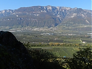 Filename=DSCN2117.JPG
Filesize=875KiB
Dimensions=2000x1500
Date added=Nov 05, 2017 DSCN2117.JPG