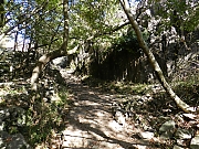 Filename=DSCN2129.JPG
Filesize=1537KiB
Dimensions=2000x1500
Date added=Nov 05, 2017 DSCN2129.JPG