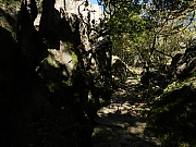 Filename=DSCN2131.JPG
Filesize=1125KiB
Dimensions=2000x1500
Date added=Nov 05, 2017 DSCN2131.JPG