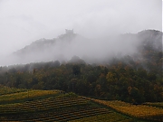 Filename=P1000748.jpg
Filesize=1388KiB
Dimensions=2048x1536
Date added=Nov 05, 2017 P1000748.jpg