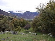 Filename=P1000757.jpg
Filesize=1895KiB
Dimensions=2048x1536
Date added=Nov 05, 2017 P1000757.jpg