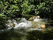 Filename=DSCN1709.jpg
Filesize=1805KiB
Dimensions=2000x1500
Date added=Nov 05, 2017 DSCN1709.jpg