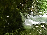 Filename=DSCN1726.jpg
Filesize=1584KiB
Dimensions=2000x1500
Date added=Nov 05, 2017 DSCN1726.jpg