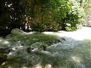 Filename=DSCN1733.jpg
Filesize=1758KiB
Dimensions=2000x1500
Date added=Nov 05, 2017 DSCN1733.jpg