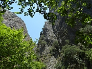 Filename=DSCN1748.jpg
Filesize=1821KiB
Dimensions=2000x1500
Date added=Nov 05, 2017 DSCN1748.jpg