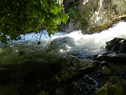 Filename=DSCN1750.jpg
Filesize=1546KiB
Dimensions=2000x1500
Date added=Nov 05, 2017 DSCN1750.jpg