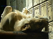 Filename=P1240056.jpg
Filesize=826KiB
Dimensions=2000x1500
Date added=Nov 05, 2017 P1240056.jpg